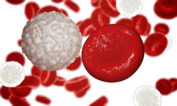 White blood cell