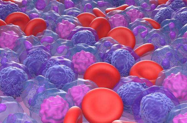 Rendering of AML blood cells | Image credit: LASZLO - stock.adobe.com
