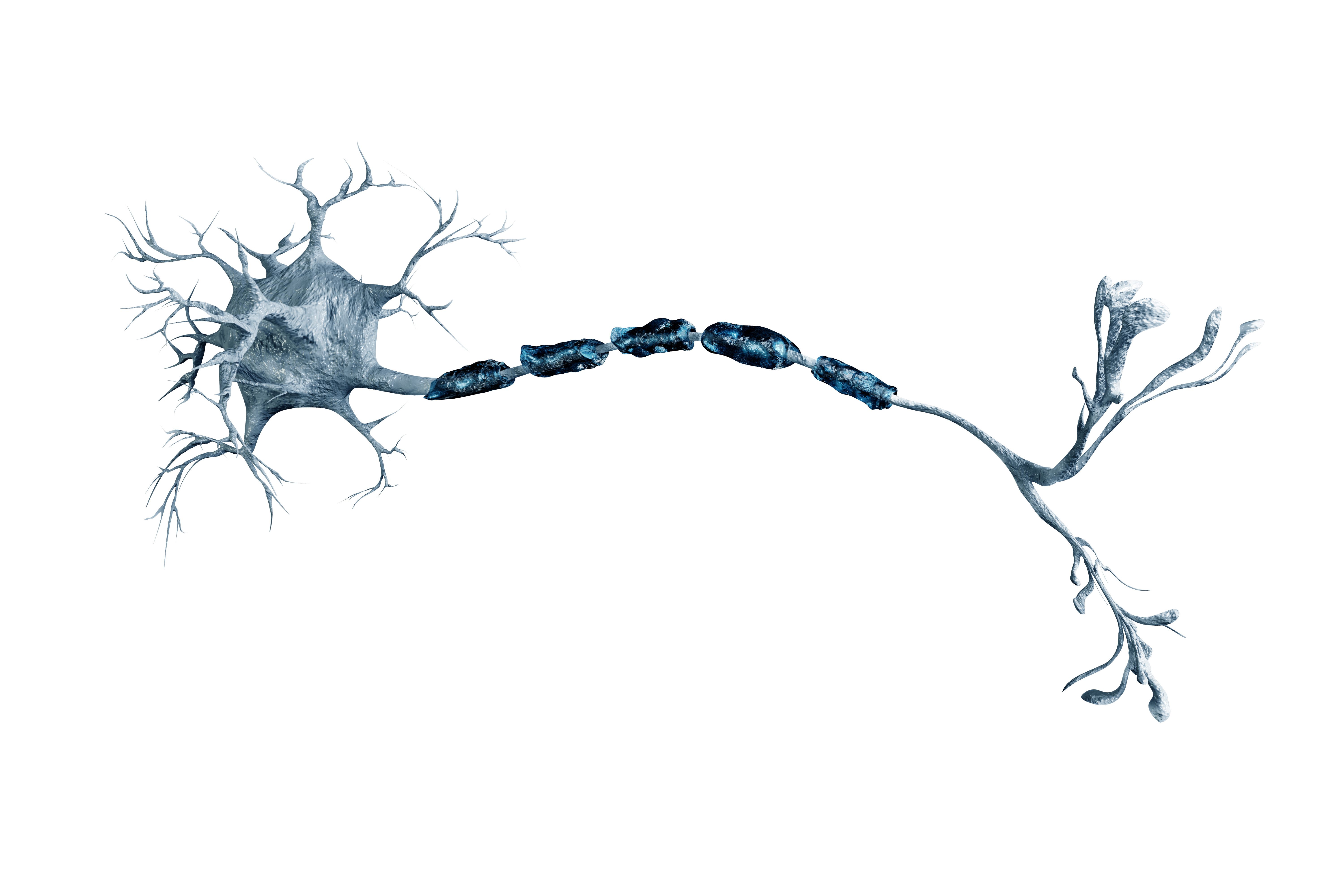 Nusinersen Elicits Functional Innervation in Patients With SMA