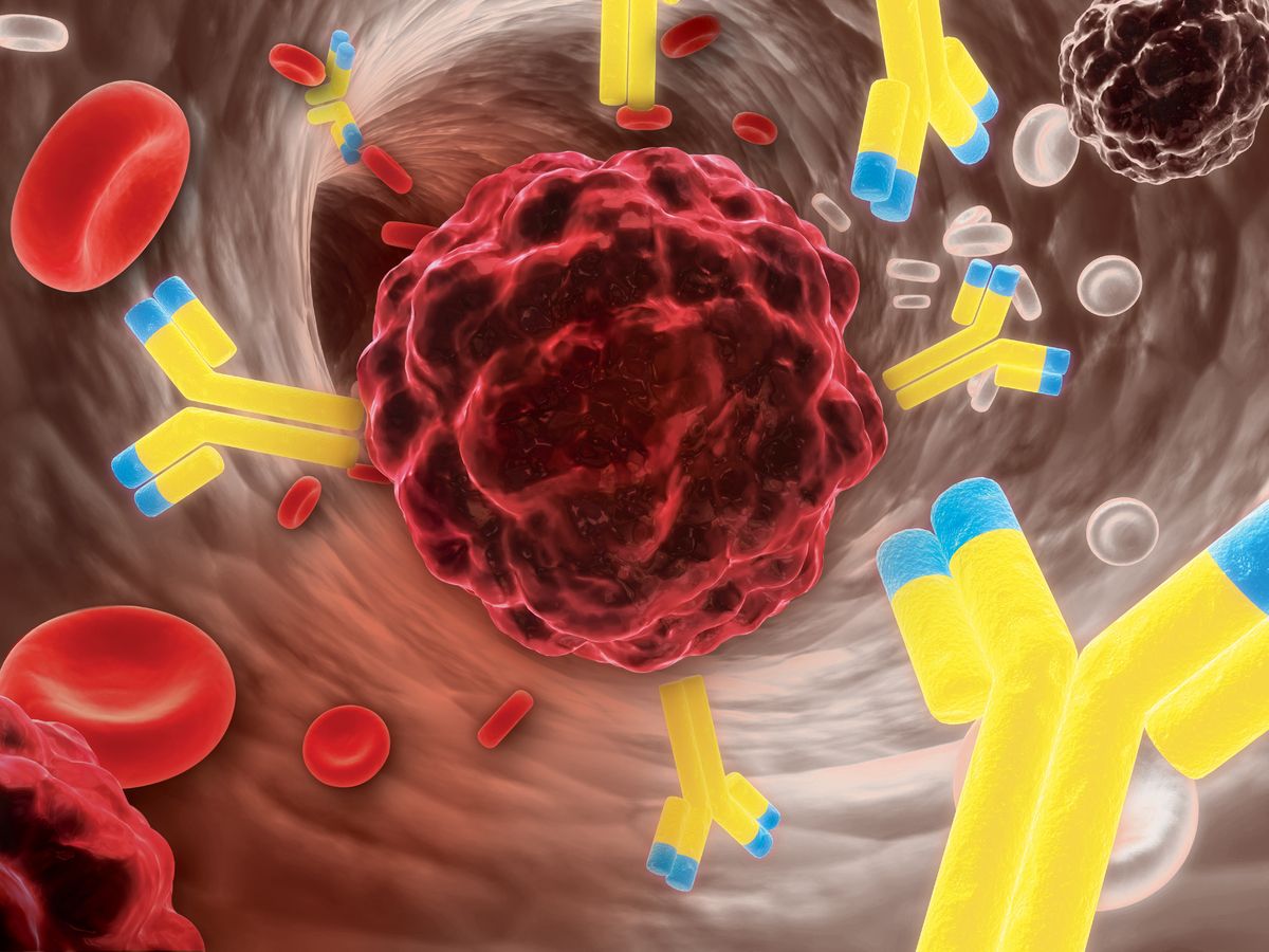 graphic of antibodies in blood