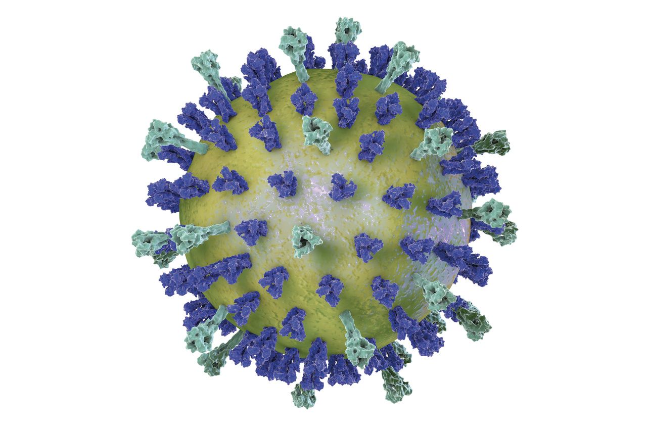 Respiratory syncytial virus