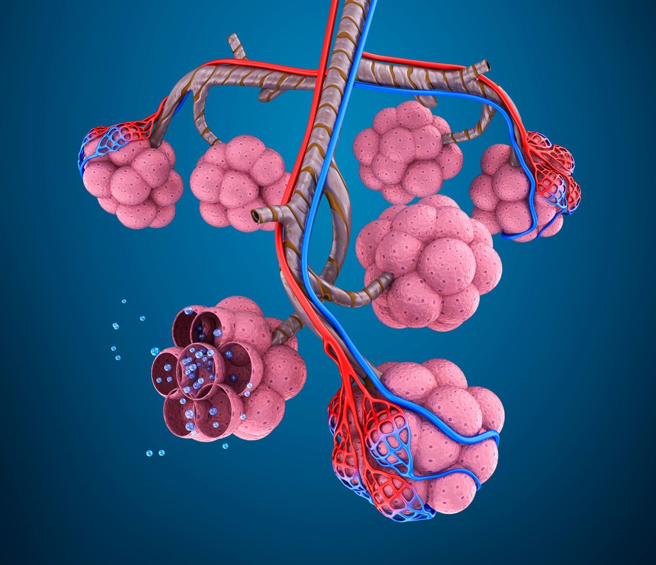 Survival After Acute Flares of Interstitial Lung Disease Varies by Fibrosis Type, Study Says