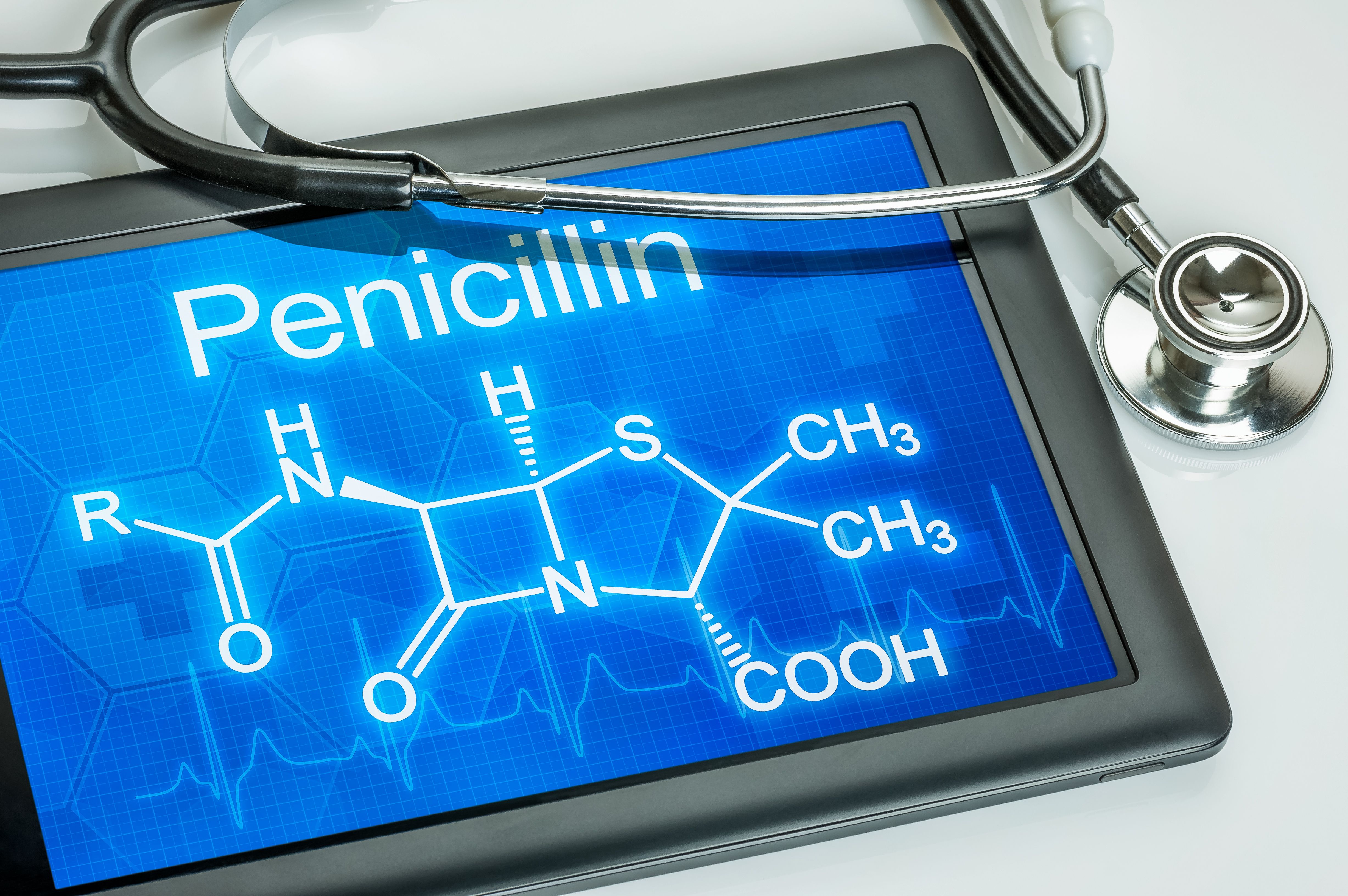 Penicillin | Image Credit: Zerbor - stock.adobe.com
