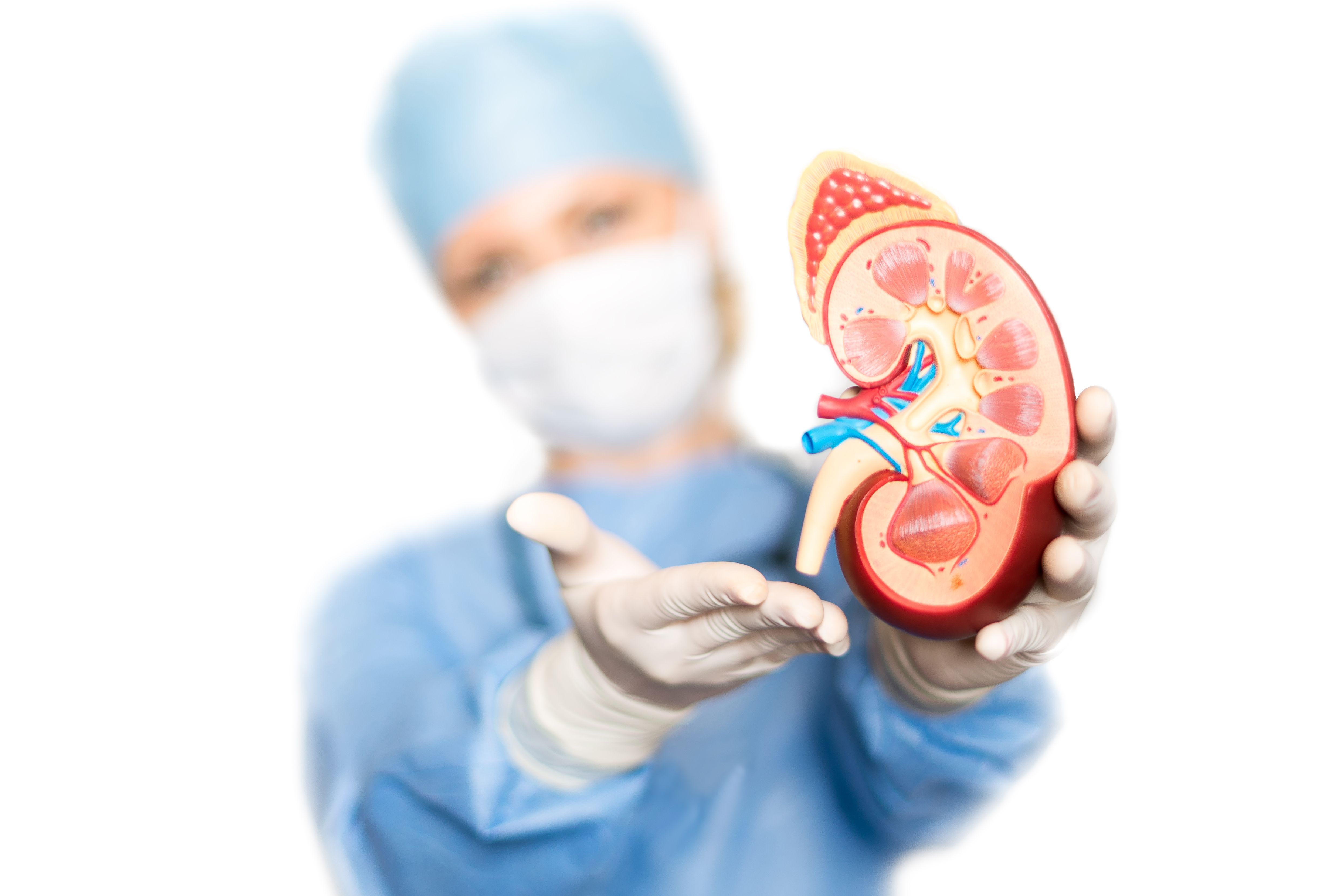 Caring for Individuals With Kidney Disease During the Pandemic 