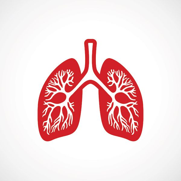 Lung graphic