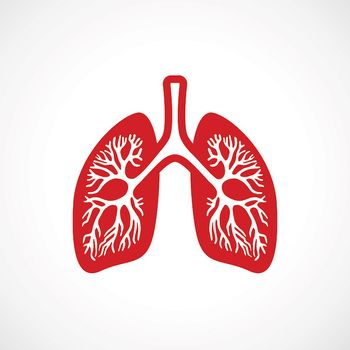 Lung graphic