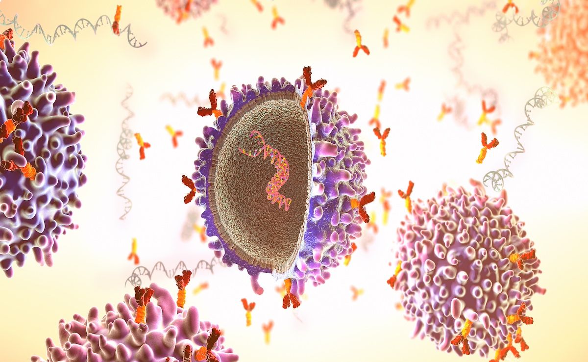 CAR T cell | Image Credit: © Christoph Burgstedt - stock.adobe.com