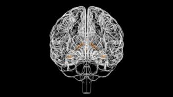 3D Concept Choroid Plexus | Image credit: mybox - stock.adobe.com