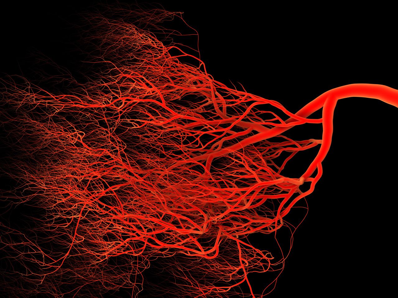 Can Certain Proteins Be Linked to Disease Severity in Multiple Sclerosis? 