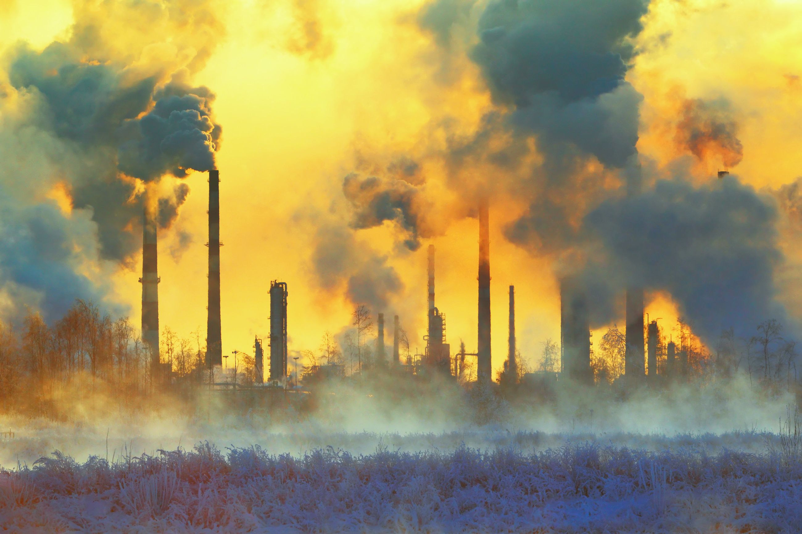 Climate Change, Pollution’s Growing Impact on Dermatology Climate Change, Pollution’s Growing Impact on Dermatology
