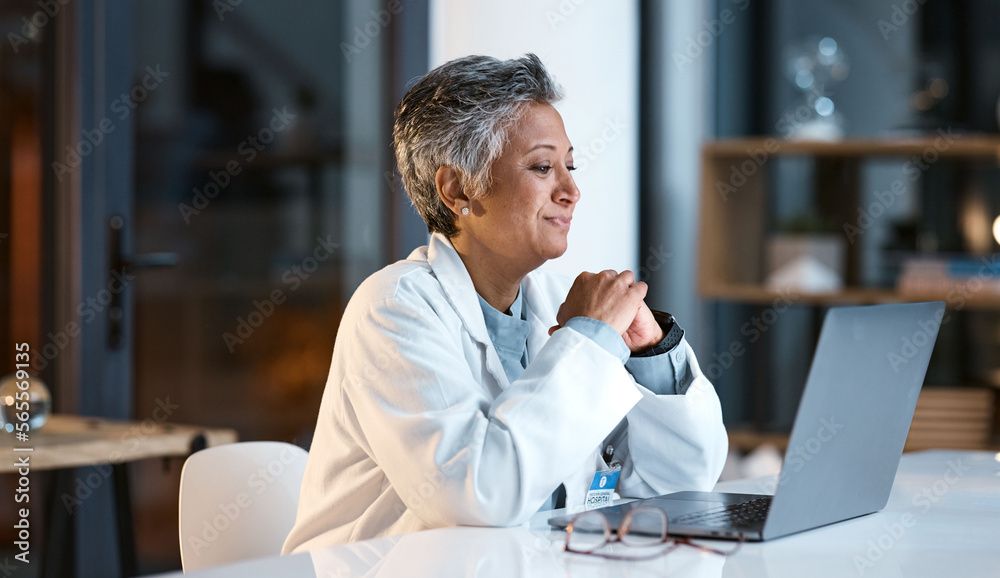 A telehealth palliative care visit | Image credit: Adobe Stock