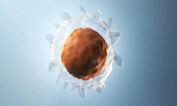 3d illustration of a b cell-sebastianlaulitzki-stock.adobe.com.jpeg