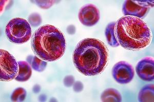 Despite the frequent potential for drug-drug interaction, exposure to CYP3A inducers or inhibitors was not linked to worse overall survival (OS) after adjusting for age, comorbidity, and dosing. | Image Credit: sovova - stock.adobe.com