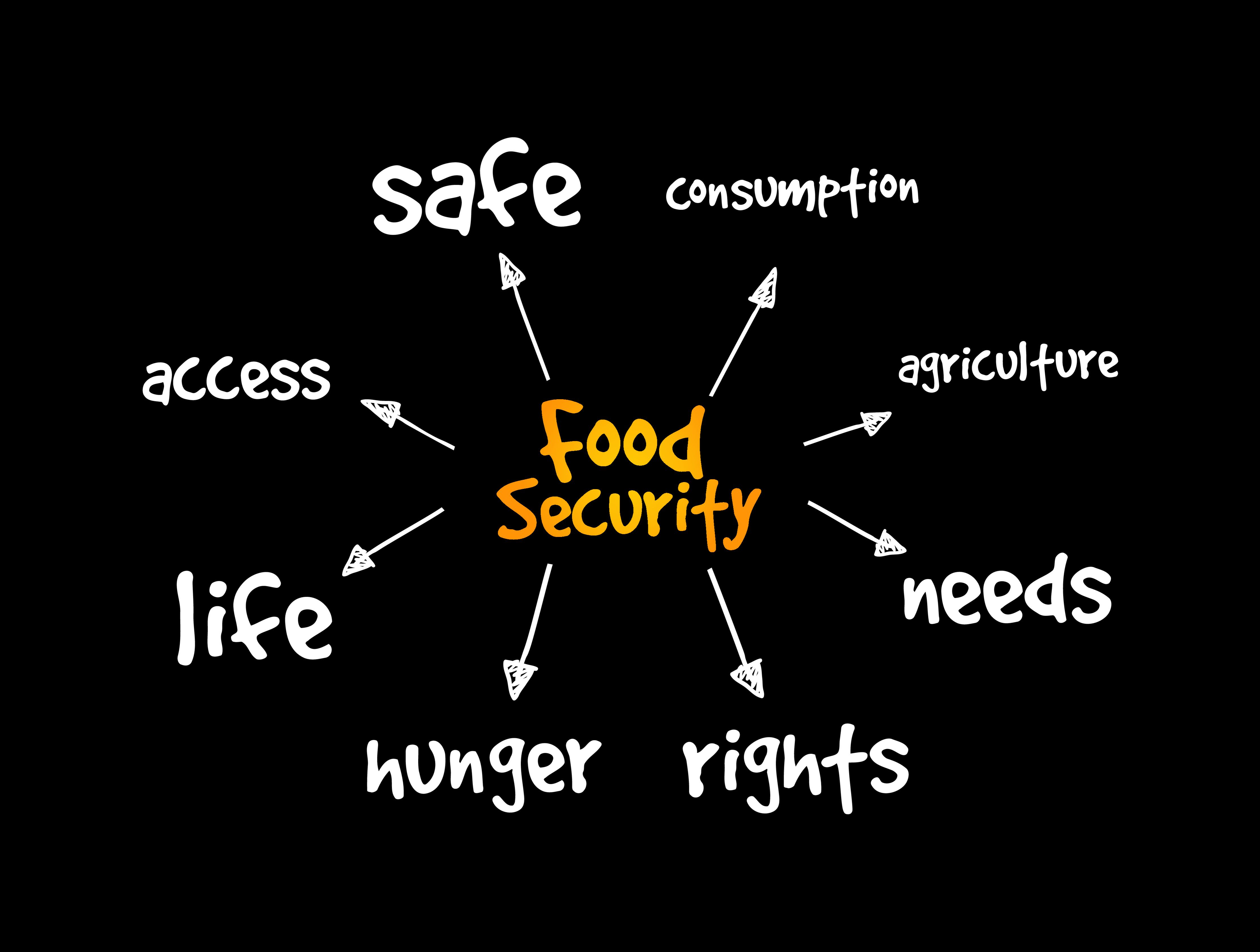 Food security. | Image Credit: dizain - stock.adobe.com