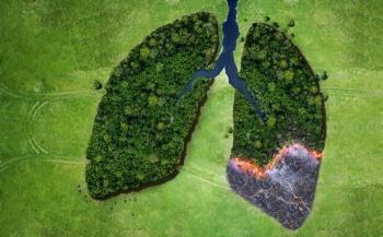 climate change can impact respiratory health | Image credit: alones - stock.adobe.com