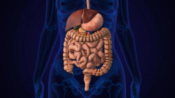 Colon | Image credit: Cinefootage Visuals - stock.adobe.com