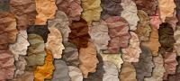Diversity | Image Credit: freshidea - stock.adobe.com