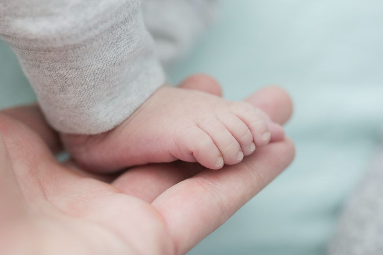 infant food in person's hand