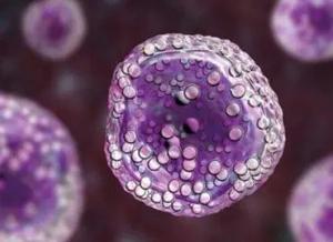 Image: Follicular Lymphoma Foundation