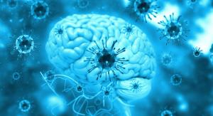 Epstein-Barr virus and MS treatments| Image credit: Rasi - stock.adobe.com