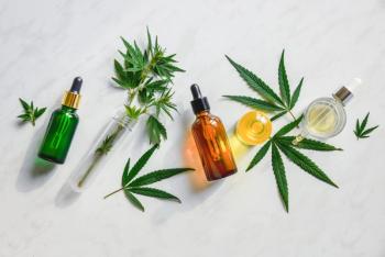 CBD oils and hemp leaves | Image credit: Irina_Evva – stock.adobe.com