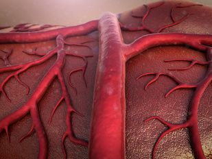 Family History Linked With Early-Onset Atrial Fibrillation in Black and Latino Patients