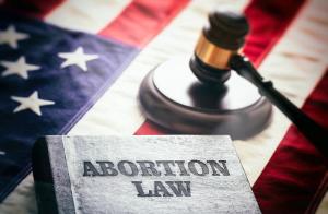 Abortion law US - Image Credit: © Rawf8 - AdobeStock_518990503.jpeg