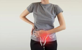 Female reproductive system | Image Credit: mi_viri-stock.adobe.com