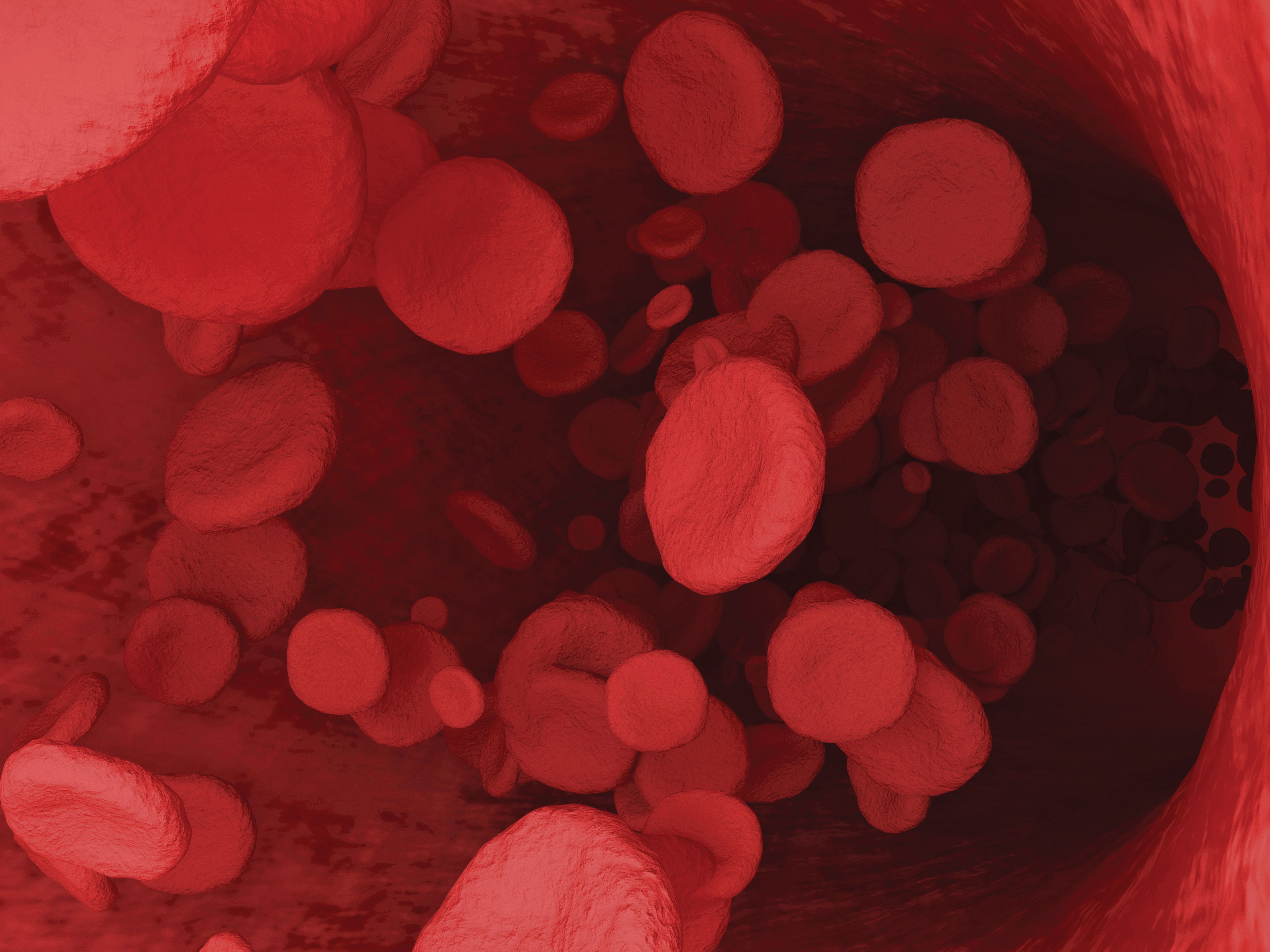 Red blood cells