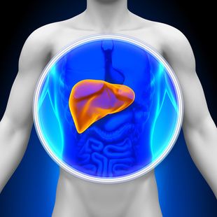 Data Show Those With Diabetes, NAFLD/NASH Have Twice Mortality Rate of Others in Medicare