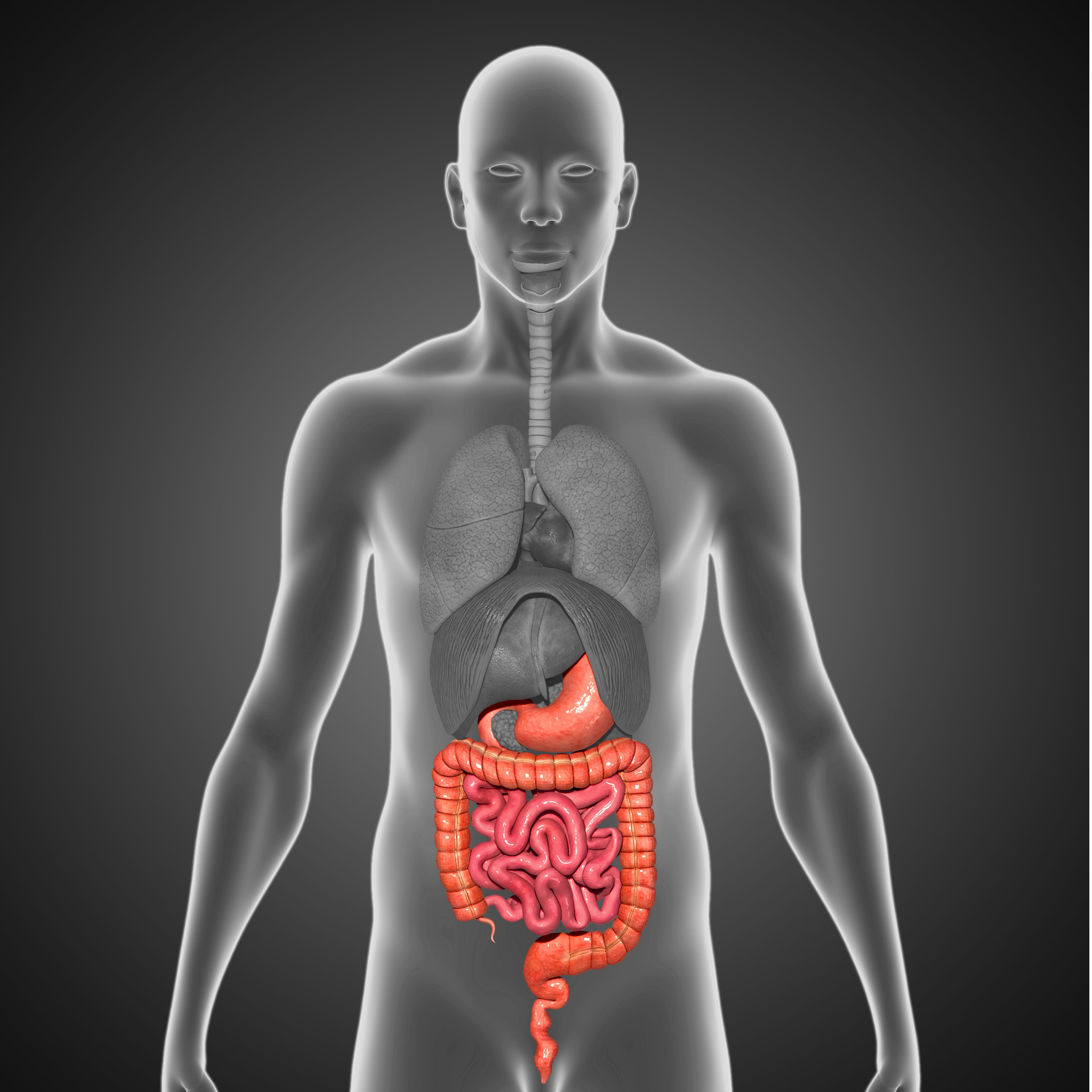 Intestinal Microbiota May Potentially Serve as Therapeutic Target in PAH