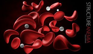 Crizanlizumab Can Reduce or Delay Pain Crises Events in Patients With Sickle Cell Disease 