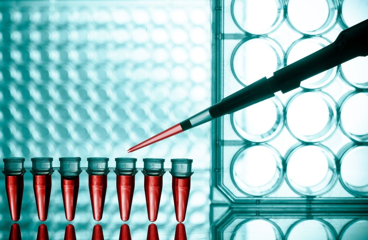 Microtubes | Image Credit: © luchschenF-stock.adobe.com