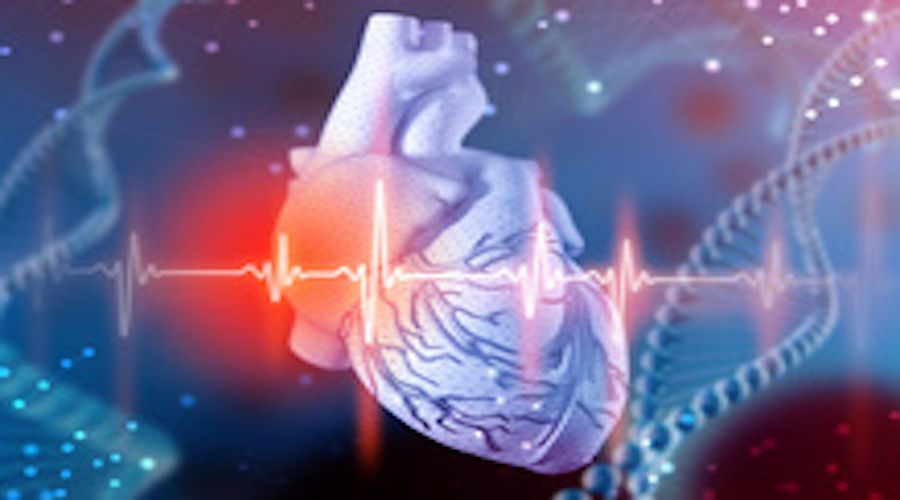 Heart and DNA Image