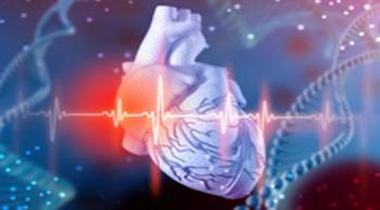 Digitized image of the heart