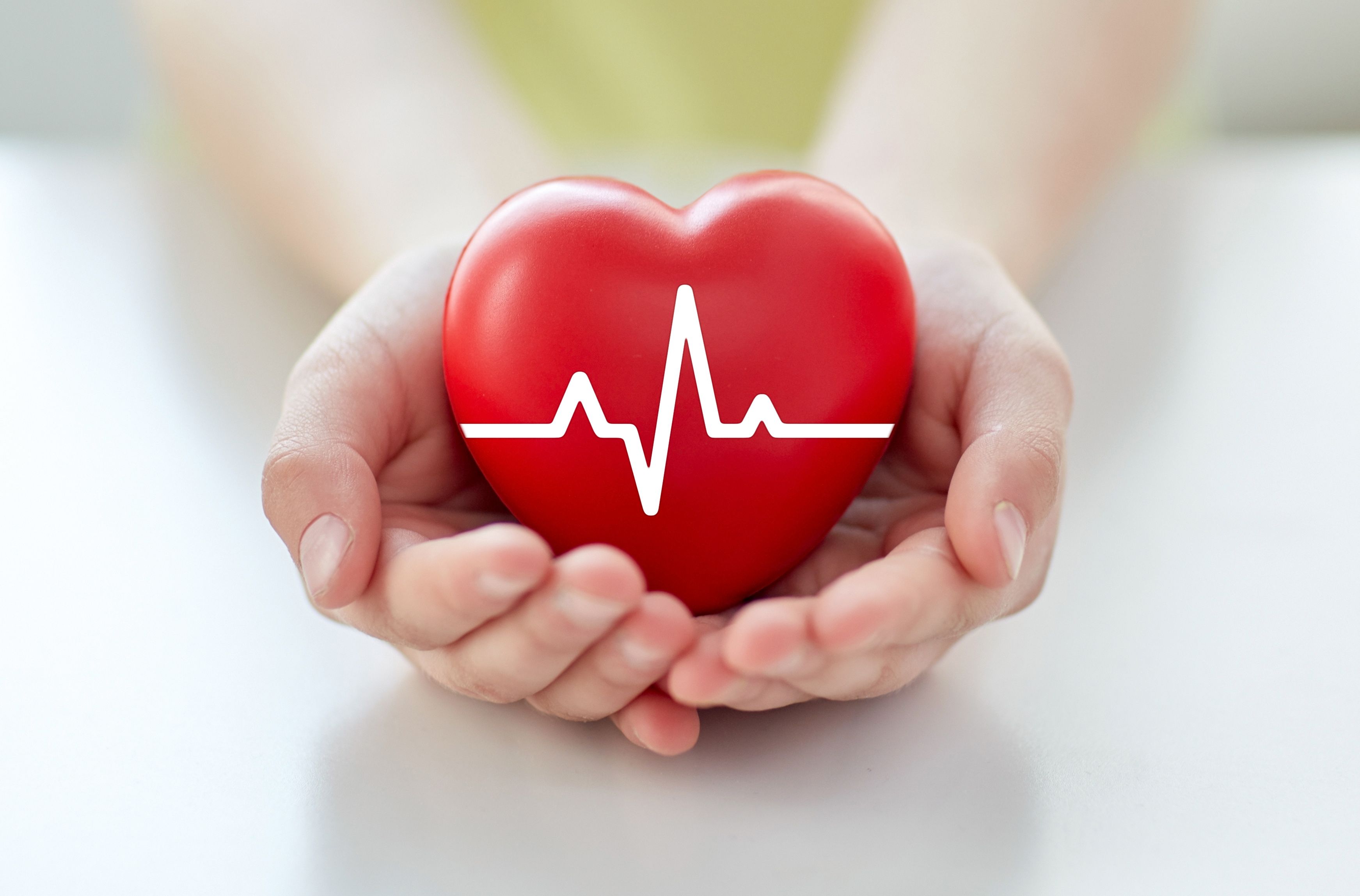 Closeup of hand with cardiogram on red heart | Image Credit: Syda Productions - stock.adobe.com