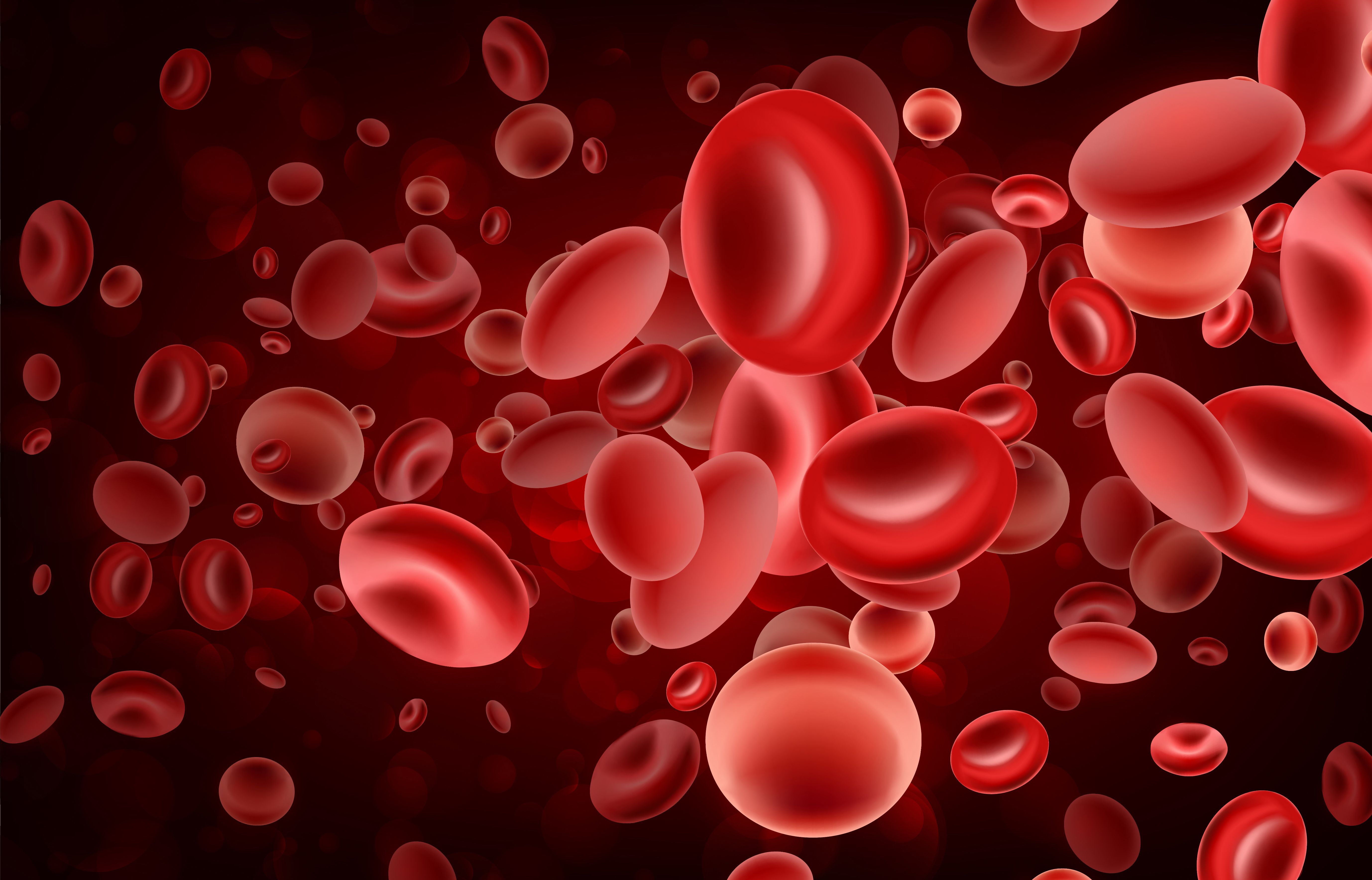 blood cells