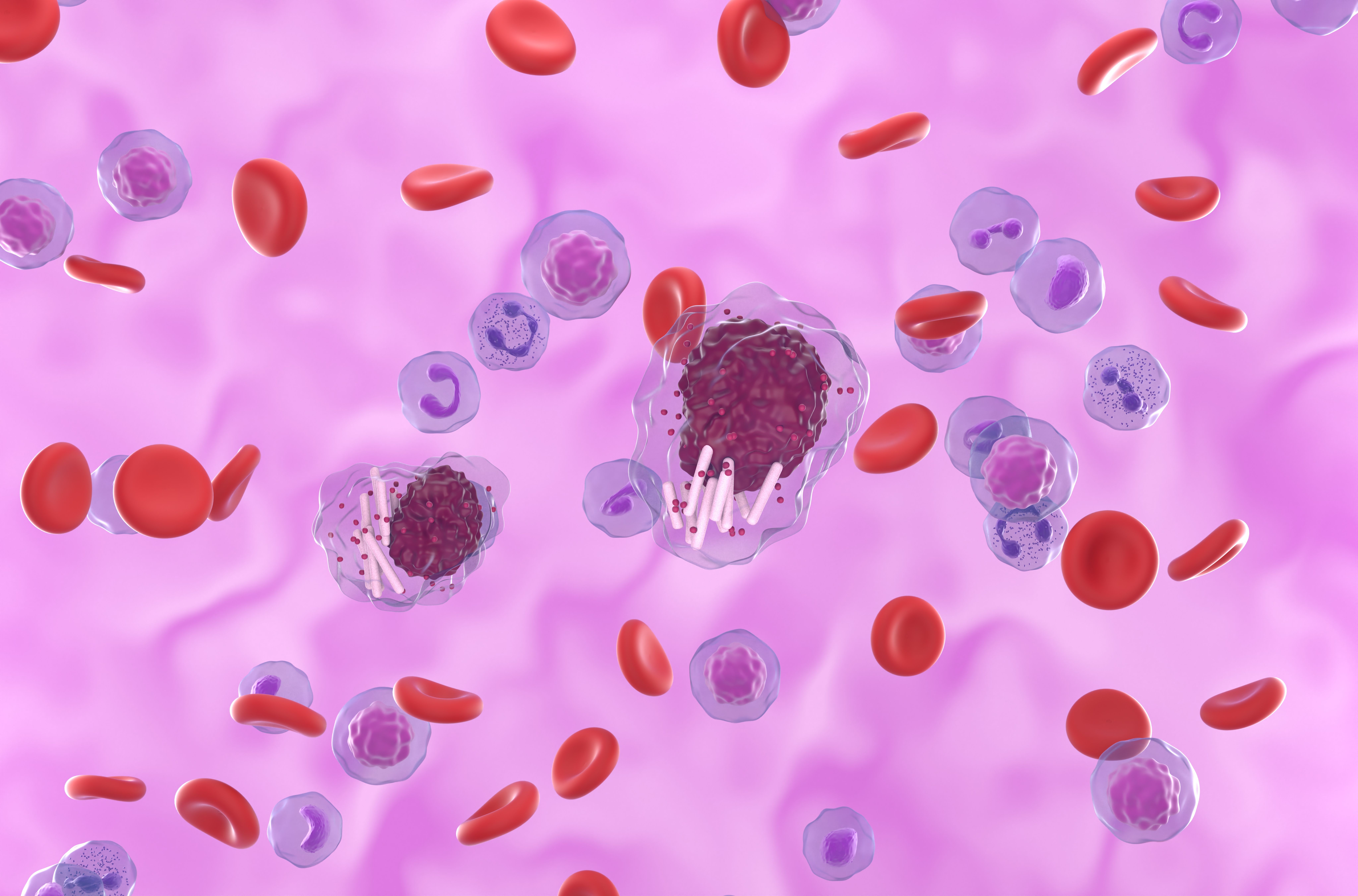 Chronic lymphocytic leukemia cells in blood flow-isometric view | Image credit: LASZLO - stock.adobe.com