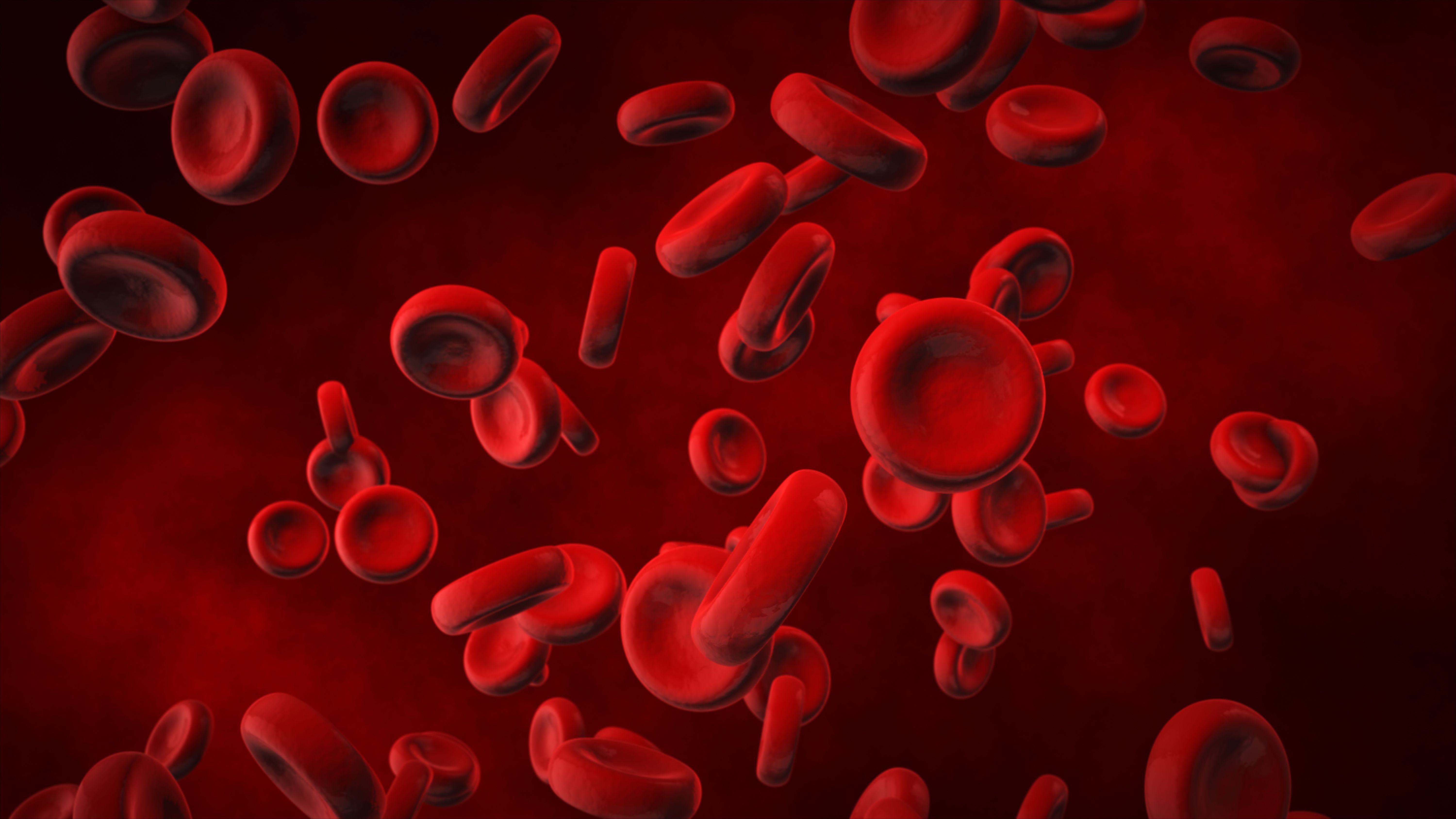 Picture of red blood cells