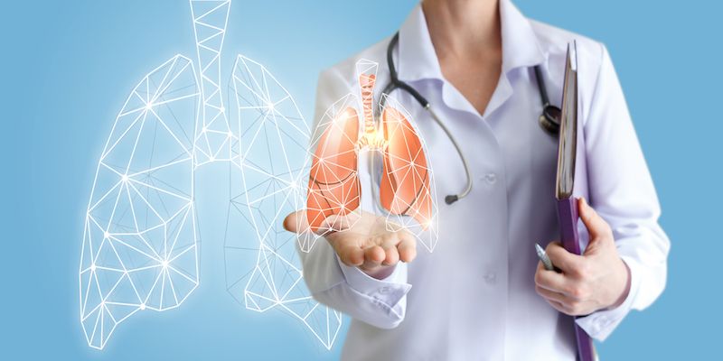 doctor holding a model of lungs and a file folder