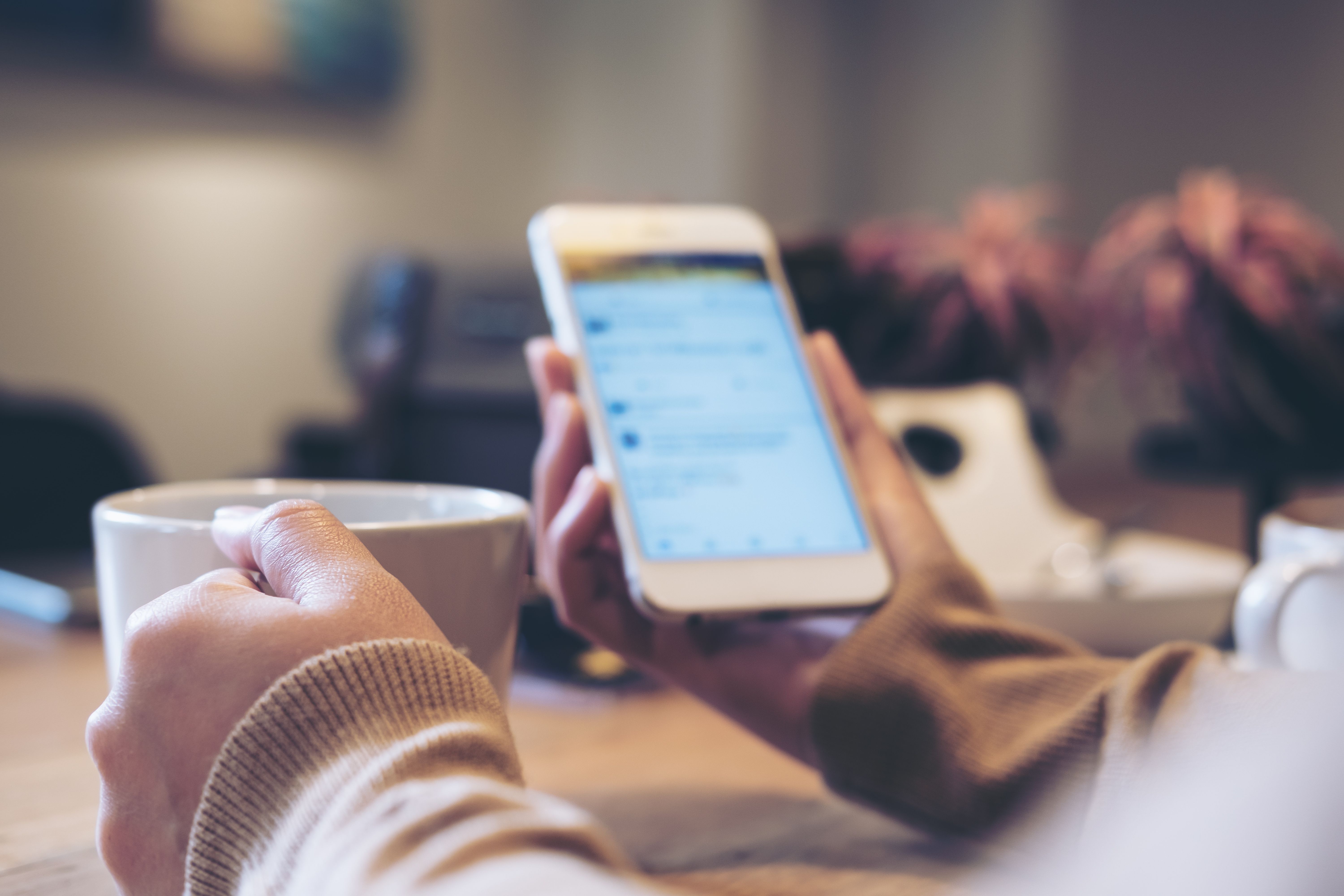 Person reading on phone | Image credit: Farknot Architect - stock.adobe.com
