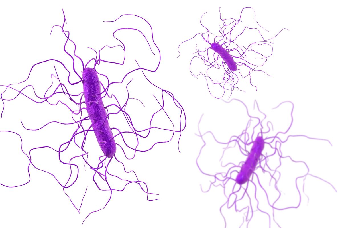 Study: Effective Treatment Significantly Improves HRQoL in Recurrent Clostridioides difficile 