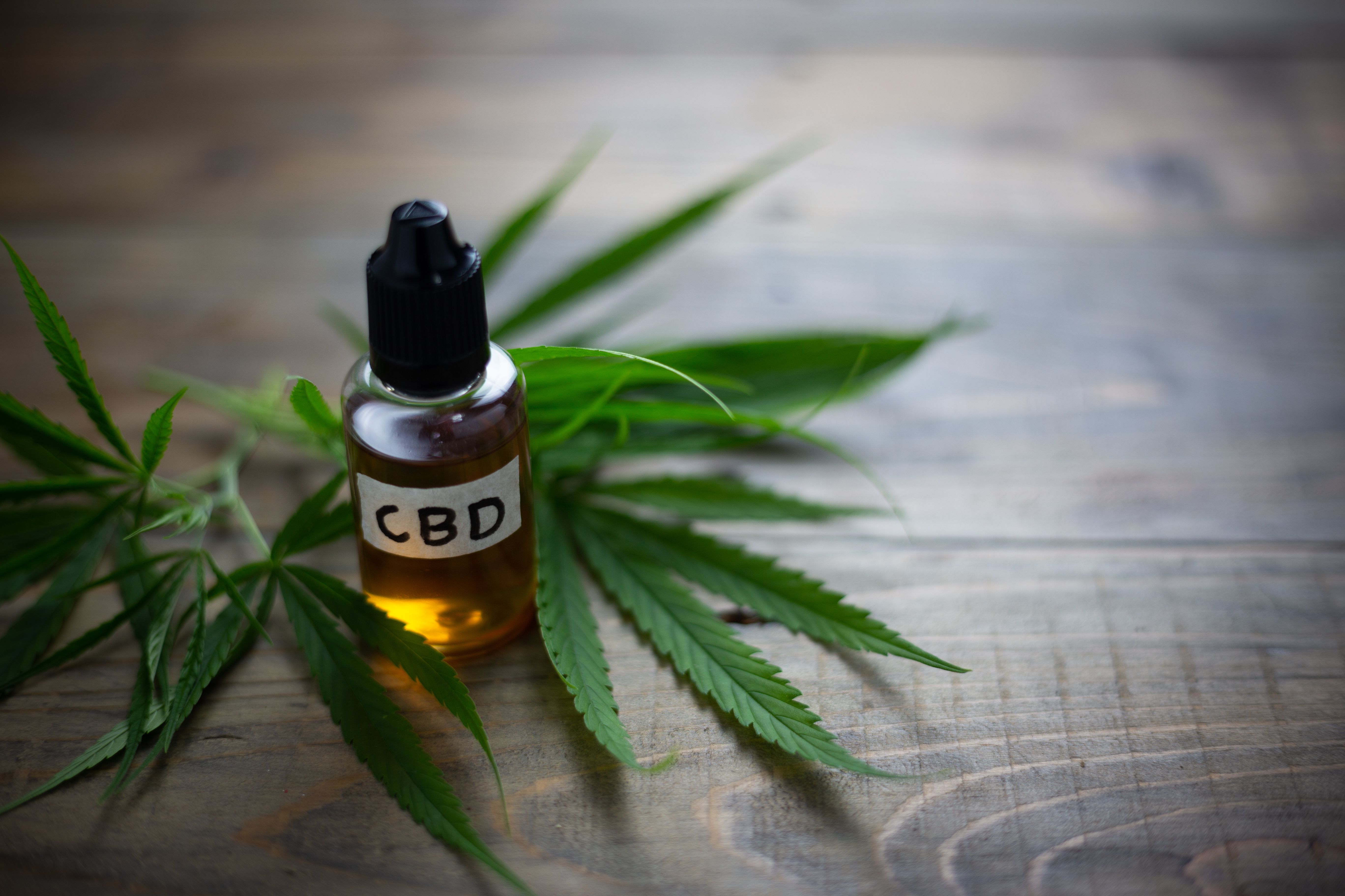 THC, CBD Combo Eases MS Symptoms, Extends Cutaneous Silent Period