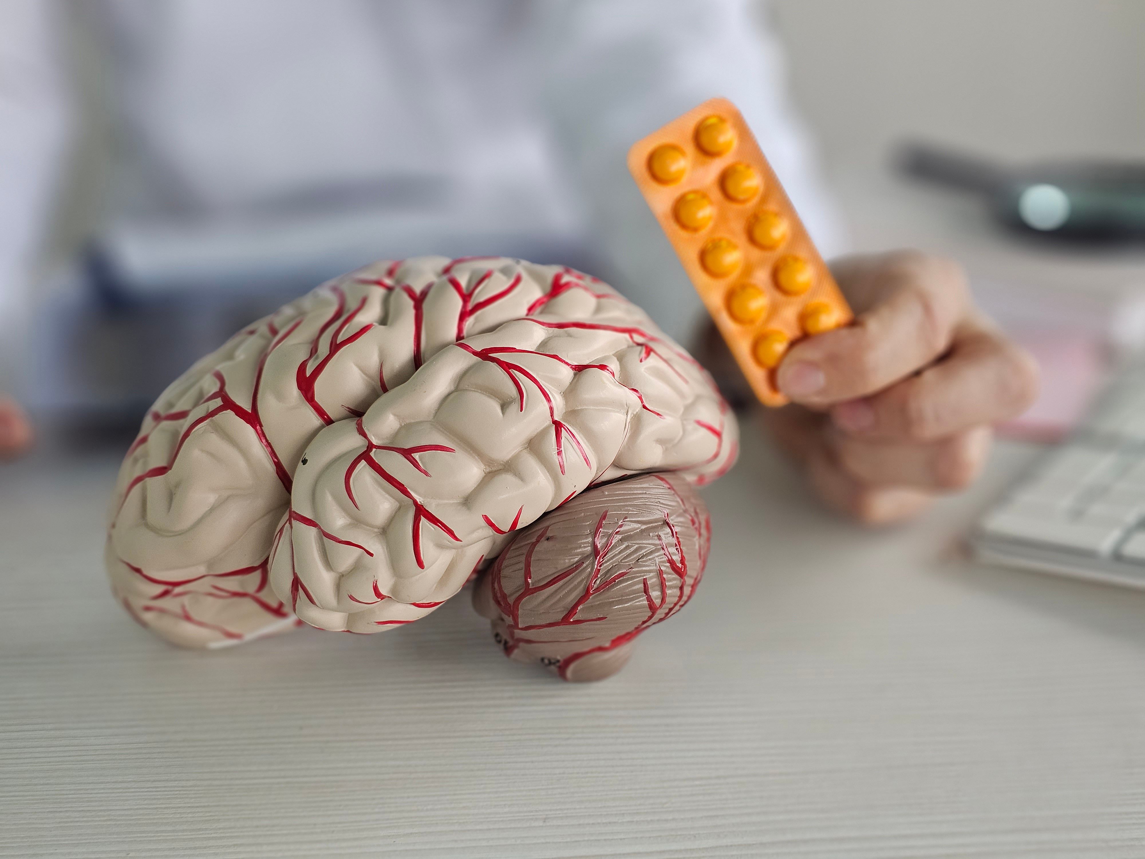 Doctor presenting brain model and medication | Image Credit: Nadzeya - stock.adobe.com