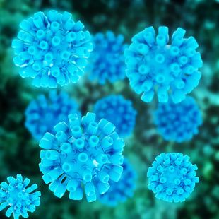 Shortening Treatment Time Maintains Efficacy, Saves Costs in Hepatitis C