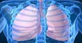 App Shows Promise in Diagnosing Common Pediatric Respiratory Diseases