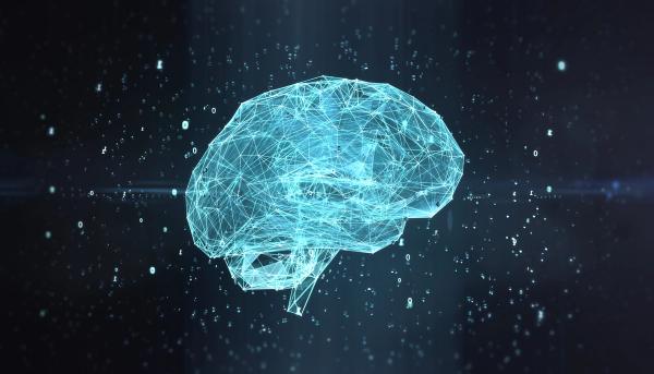 The findings provide strong evidence that interpretable machine learning, particularly the XGB framework, can enhance MASLD prediction in high-risk T2DM populations. | Image credit: Alexander - stock.adobe.com