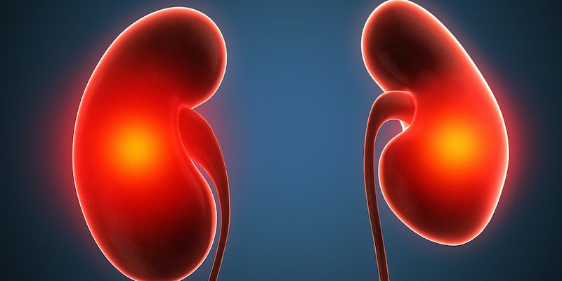 Panelists Argue for SGLT2 Inhibitors Uptake Among Nephrologists