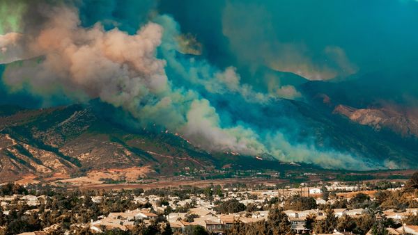wildfire smoke | Image credit: Scott - stock.adobe.com