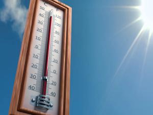 Climate Change Impacts Allergy Health Risks: Gary Falcetano, PA-C, AE-C